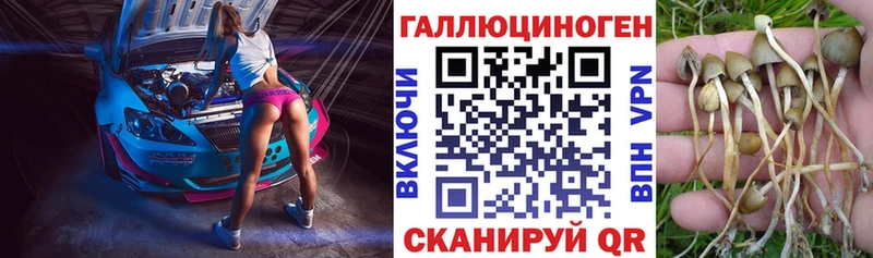 shop телеграм  Анадырь  Псилоцибиновые грибы мицелий  цена  